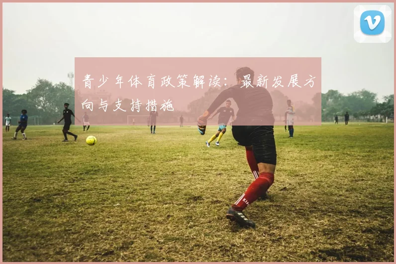 青少年体育政策解读:最新发展方向与支持措施
