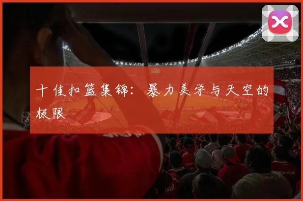 十佳扣篮集锦:暴力美学与天空的极限